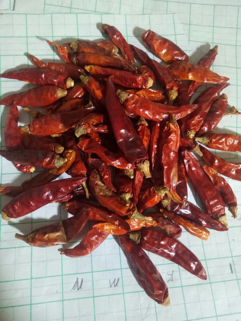 干辣椒