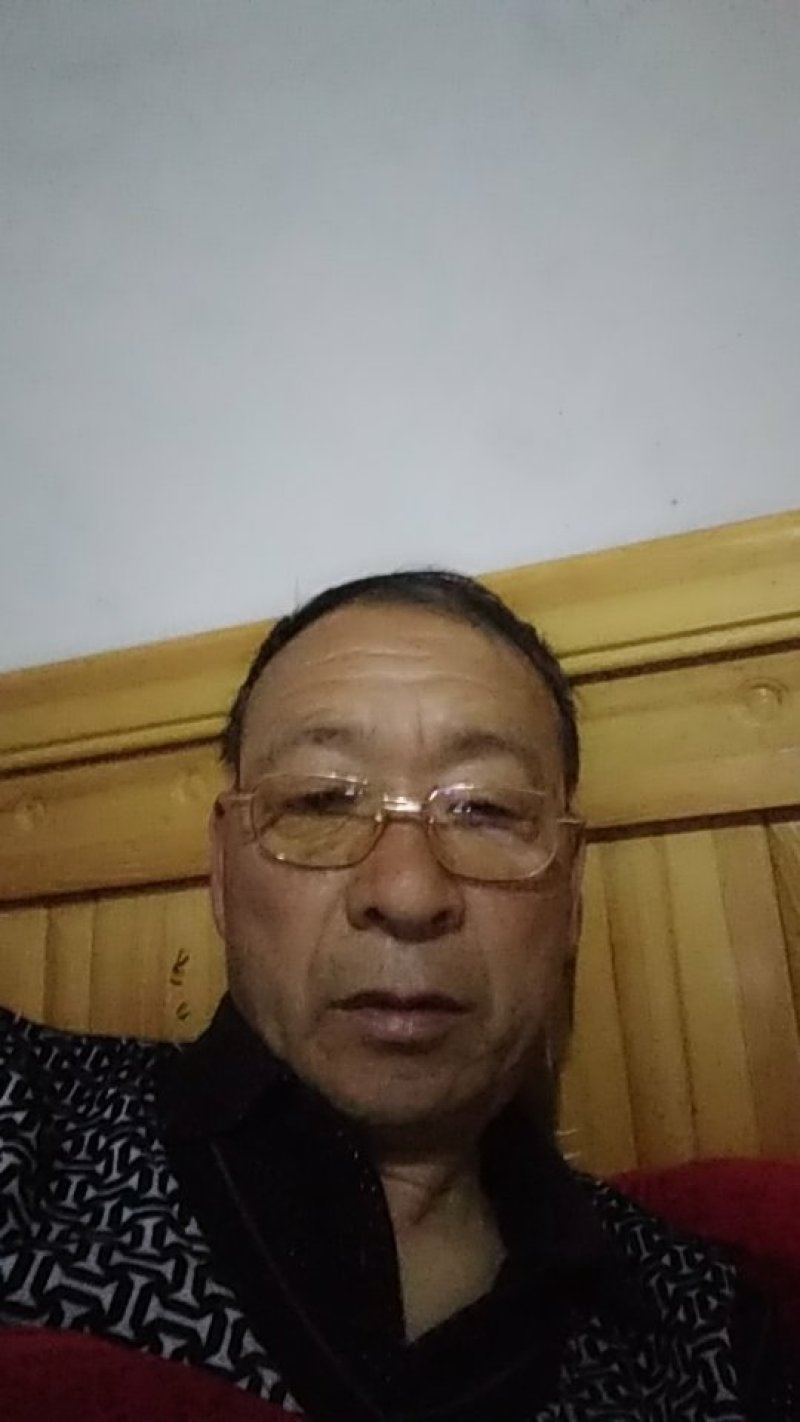 卫毛球，大叶黄杨球，小叶黄杨球，金叶女贞球，