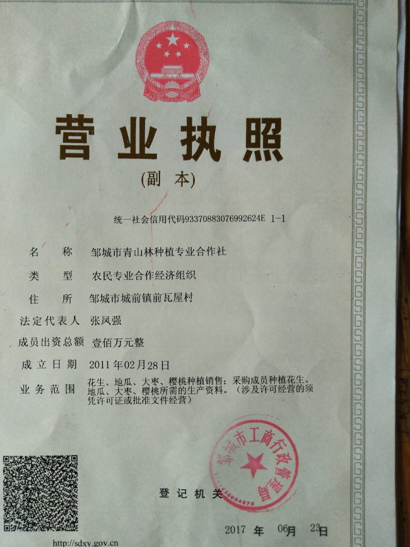 大量出售紫薯苗，紫罗兰