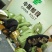 中科大果红花油茶苗25公分到七十公分各种规格裸根苗杯苗