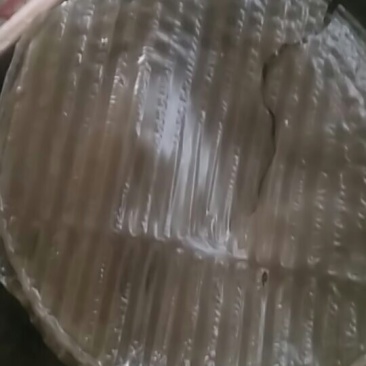 粉皮