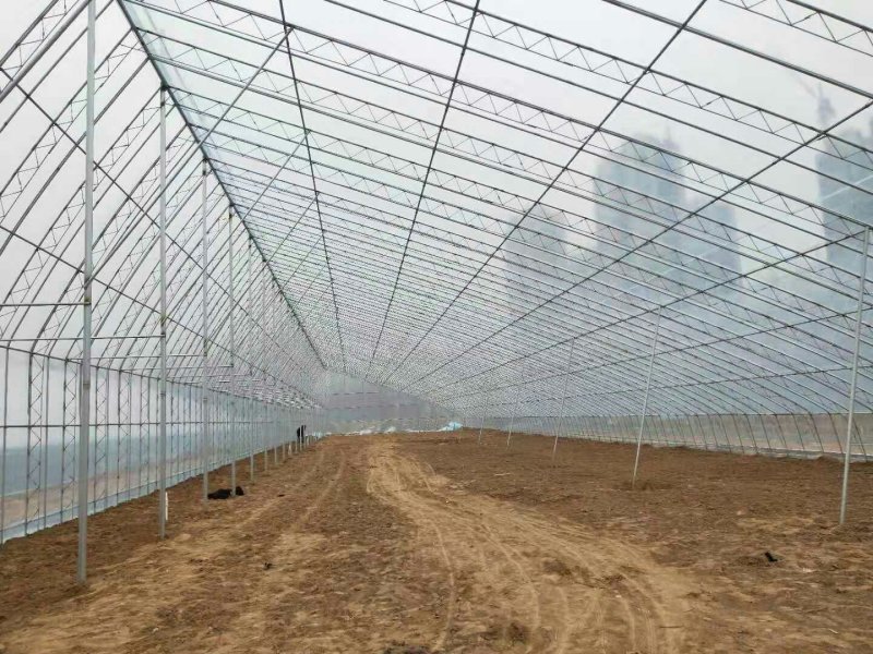 温室建设，蔬菜大棚，钢架大棚，温室厂家，大棚建设。
