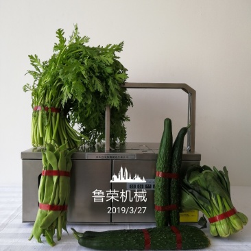 超市蔬菜食品促销捆扎机