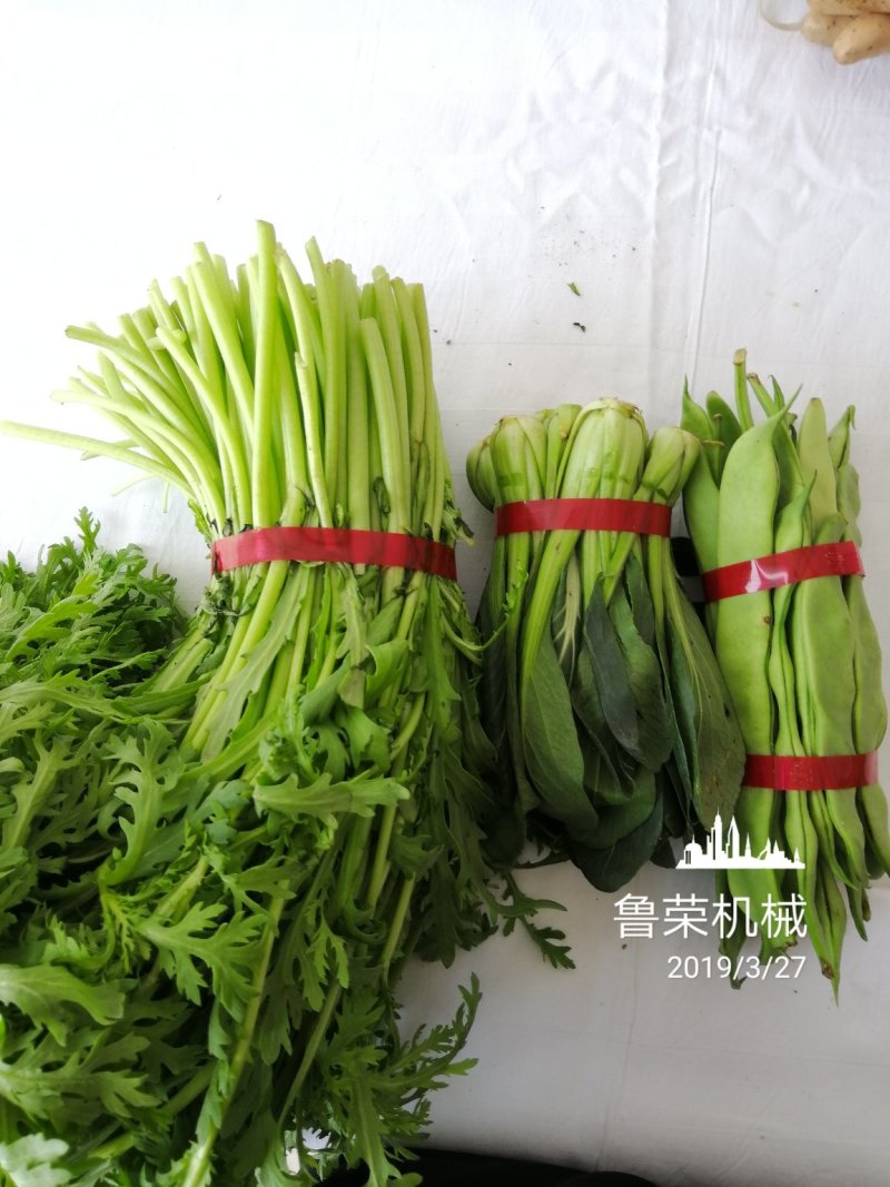 农产品初加工机械蔬菜捆扎机