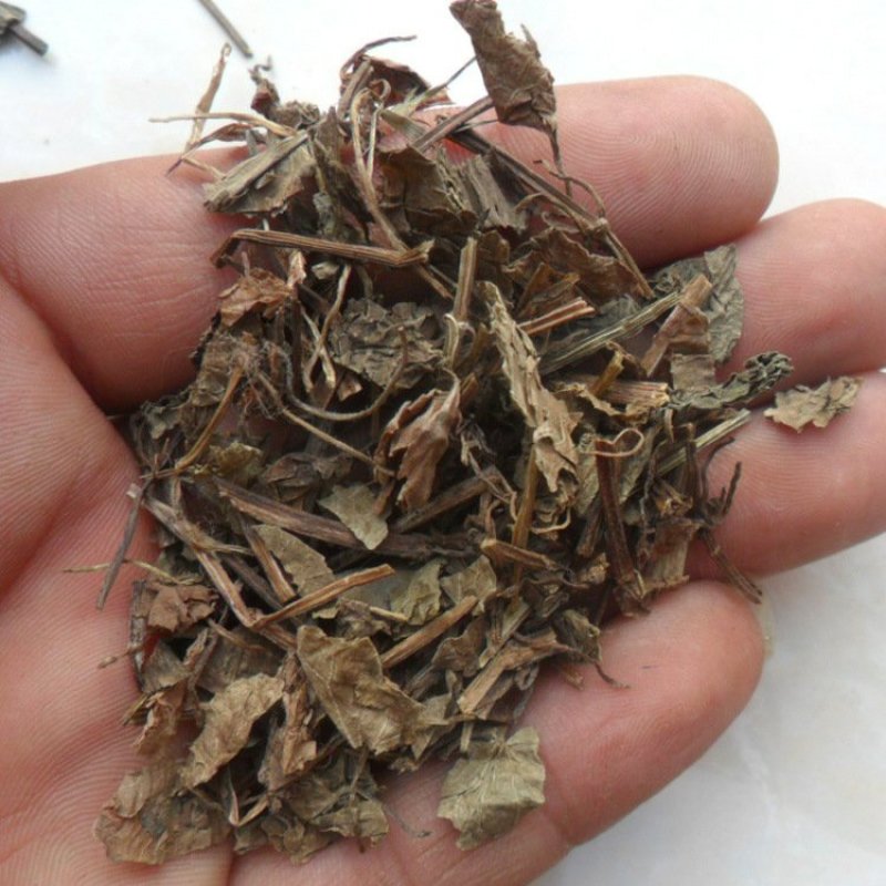 连钱草活血丹批发零售冷背中药材