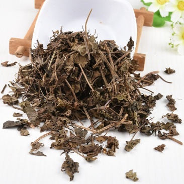 连钱草活血丹批发零售冷背中药材