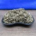 老鹳草老鹤草无硫新货批发零售冷背中药材