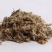 鼠曲草佛耳草批发零售冷背中药材