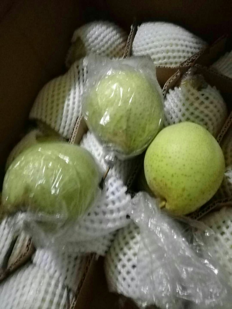 膜袋鸭梨