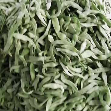 芸豆要的速下单