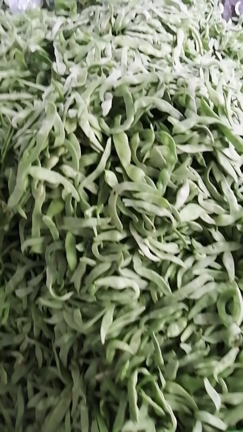 芸豆要的速下单
