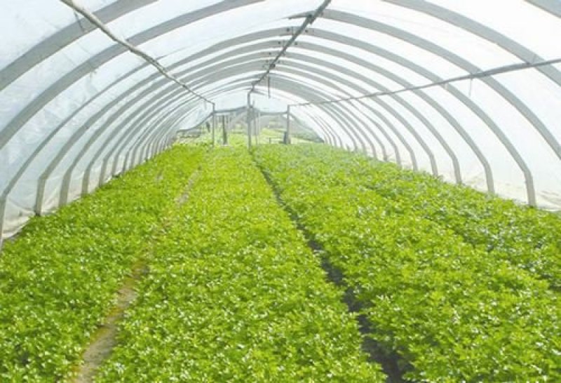 大棚钢管大棚管大棚骨架大棚膜厂家直发价格优惠