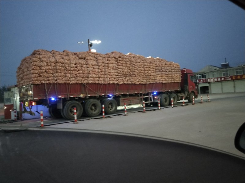 邳州杂交紫皮混级蒜太空产地代办支持各种规格直发全国