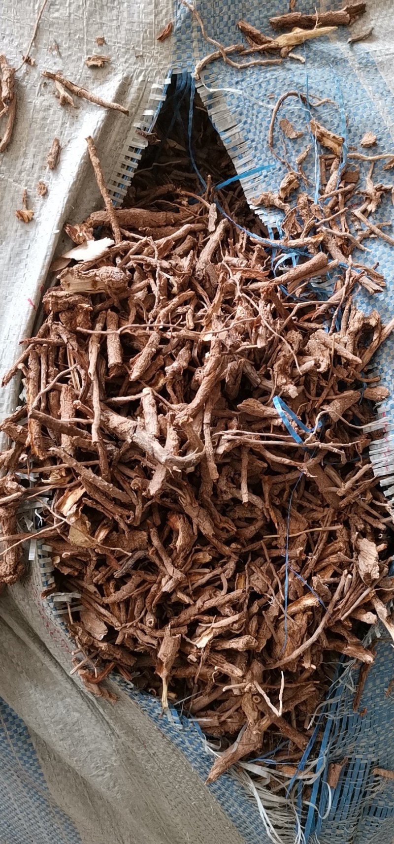地骨皮供应地骨皮地骨皮地骨皮地骨皮地骨皮