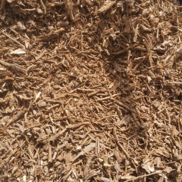 地骨皮供应地骨皮地骨皮地骨皮地骨皮地骨皮