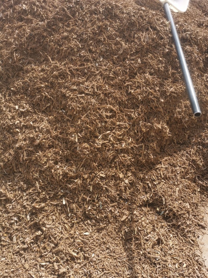 地骨皮供应地骨皮地骨皮地骨皮地骨皮地骨皮