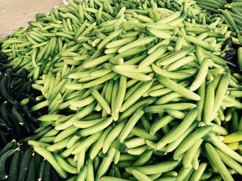 供应葡萄，黑提，红提，西葫芦，西红柿，红椒，甜椒，茄子