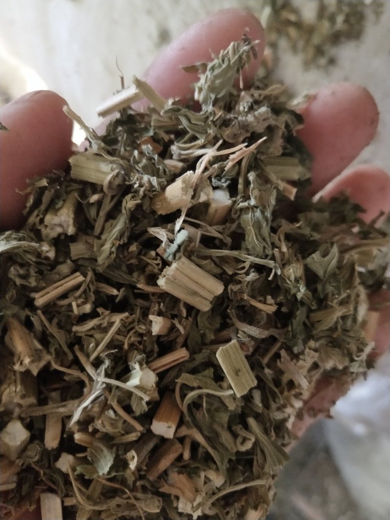 益母草