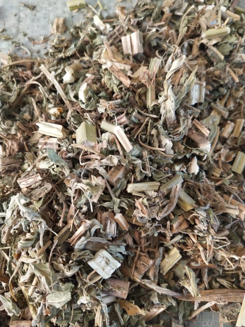 益母草