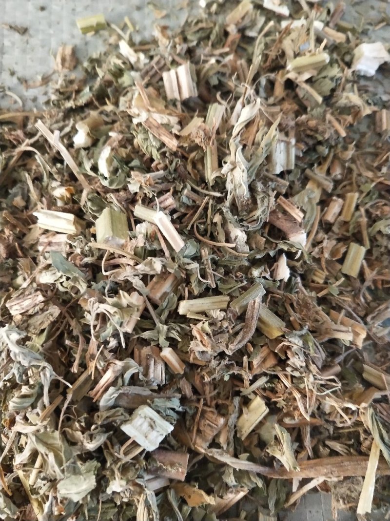益母草
