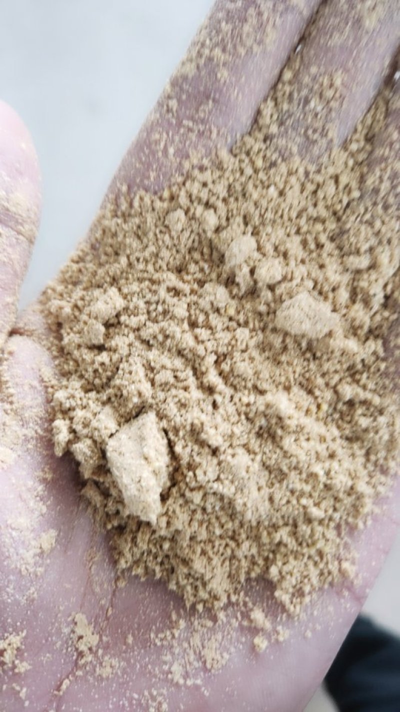 小米油糠，小米加工厂家直供，新鲜小米油糠，各种规格都有