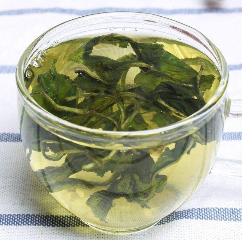 蒲公英茶养生