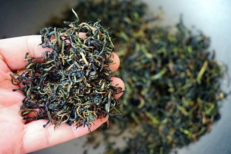 蒲公英茶养生
