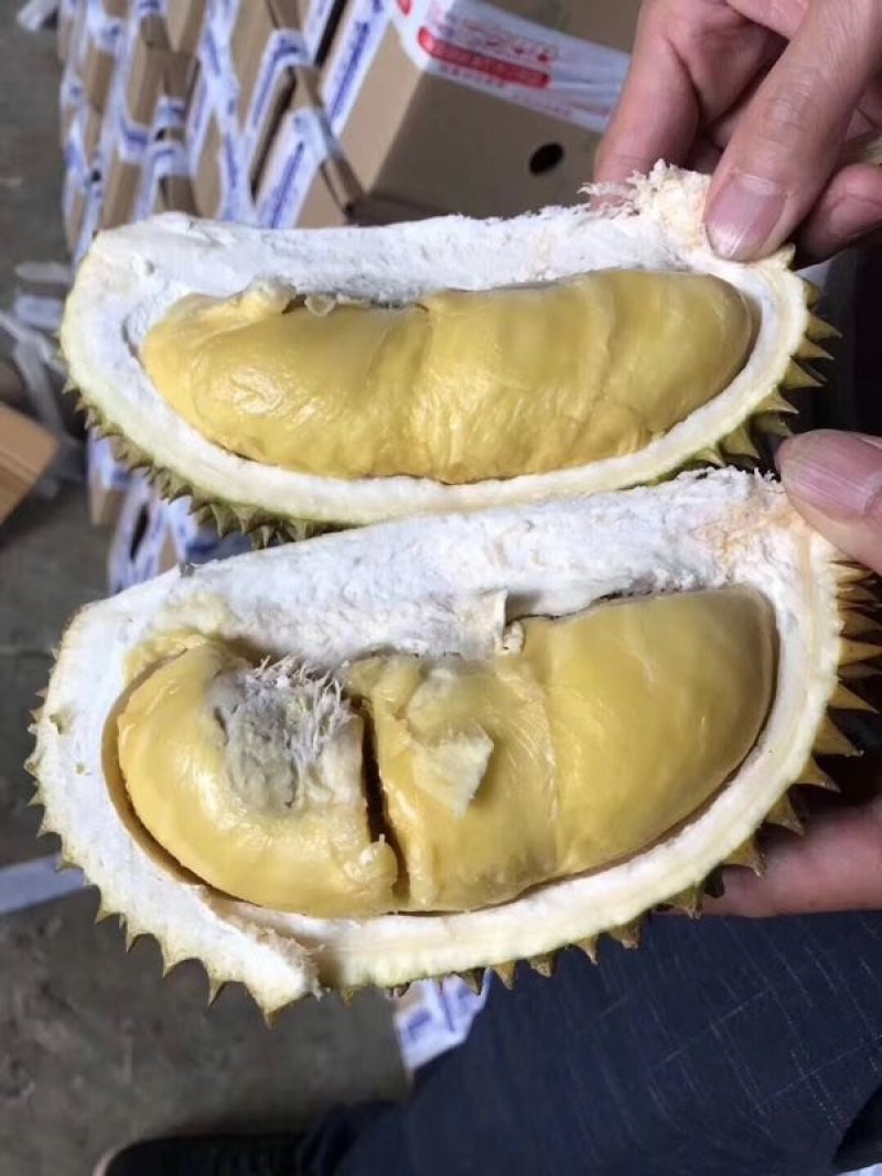 榴莲