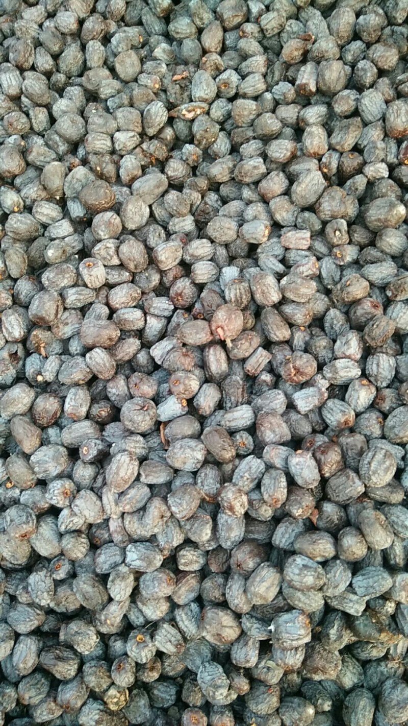 黑枣