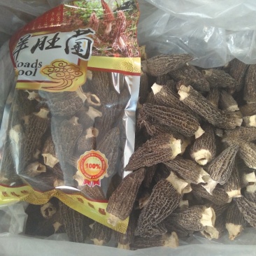 去柄羊肚菌干货野生菌羊肚蘑菇干品100克一袋包邮