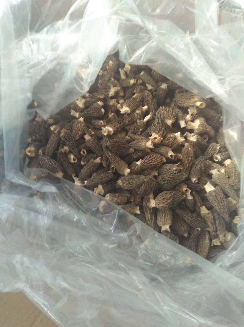 去柄羊肚菌干货野生菌羊肚蘑菇干品100克一袋包邮