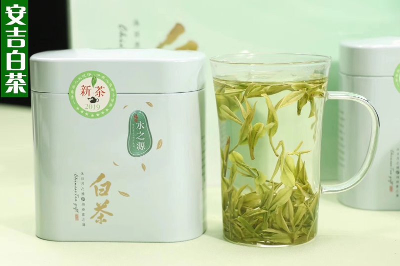 浙江安吉白茶属于绿茶～