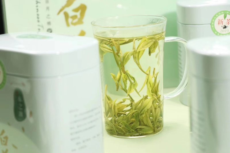 浙江安吉白茶属于绿茶～