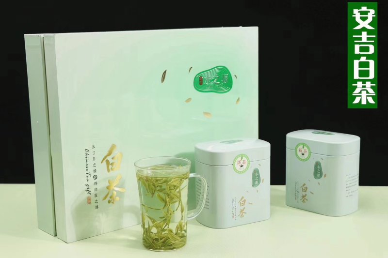 浙江安吉白茶属于绿茶～