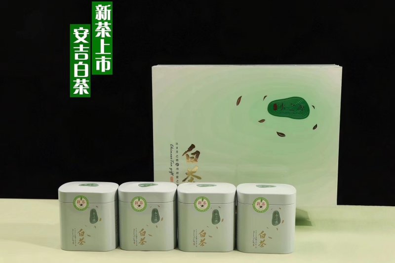 浙江安吉白茶属于绿茶～