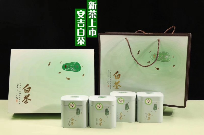 浙江安吉白茶属于绿茶～
