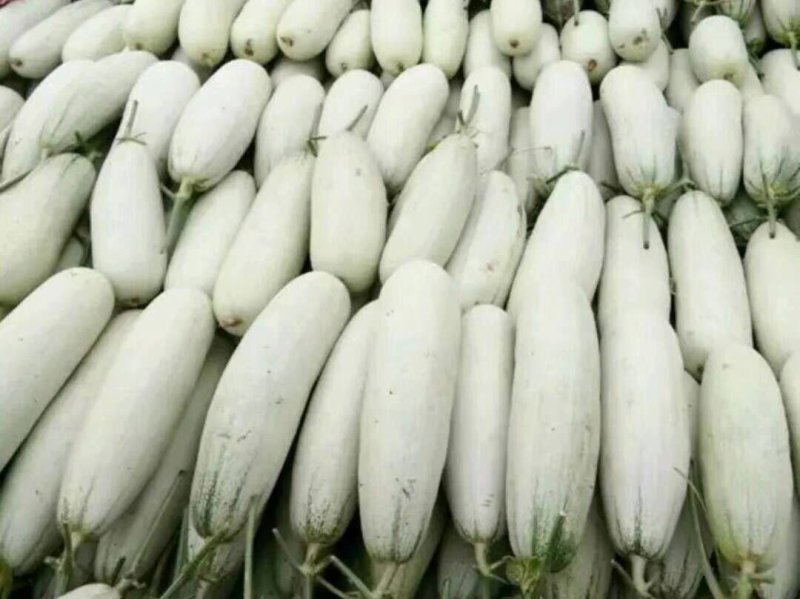 羊角脆甜瓜，一件代发，货品如图需要下单