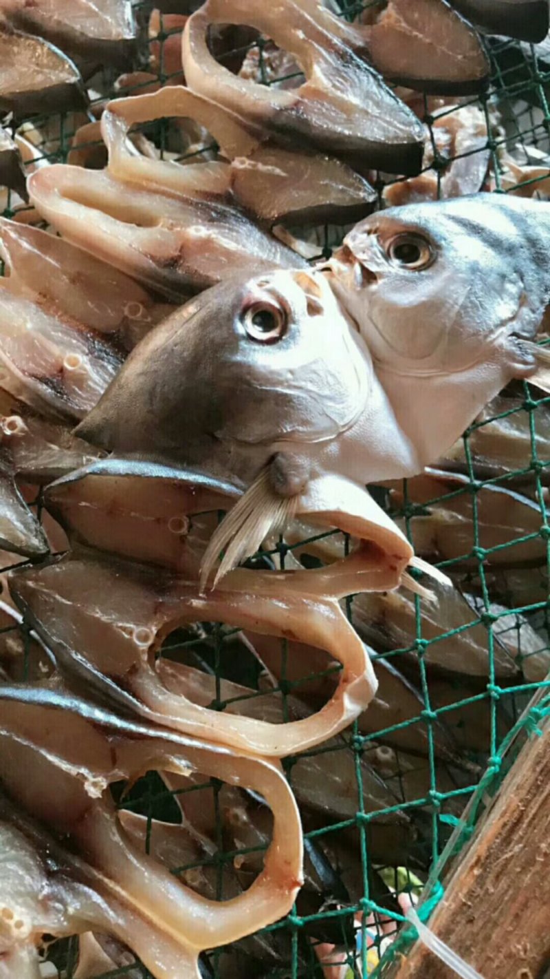 金昌鱼干