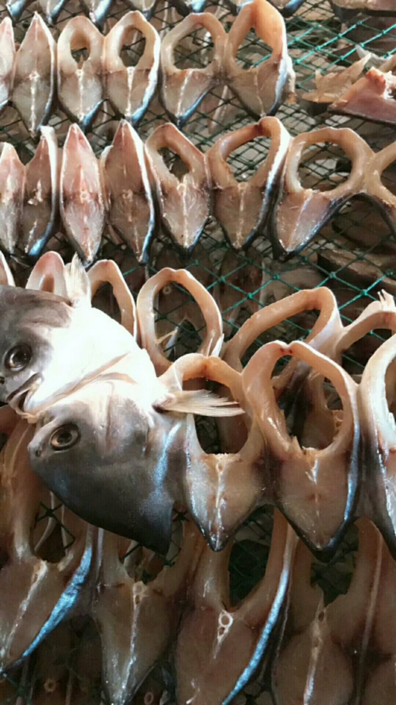 金昌鱼干
