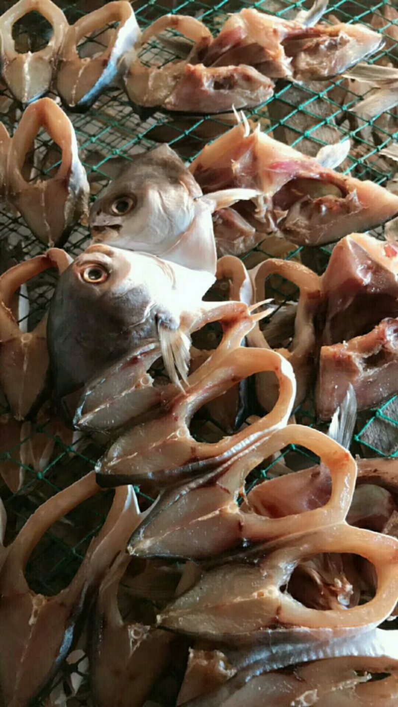 金昌鱼干