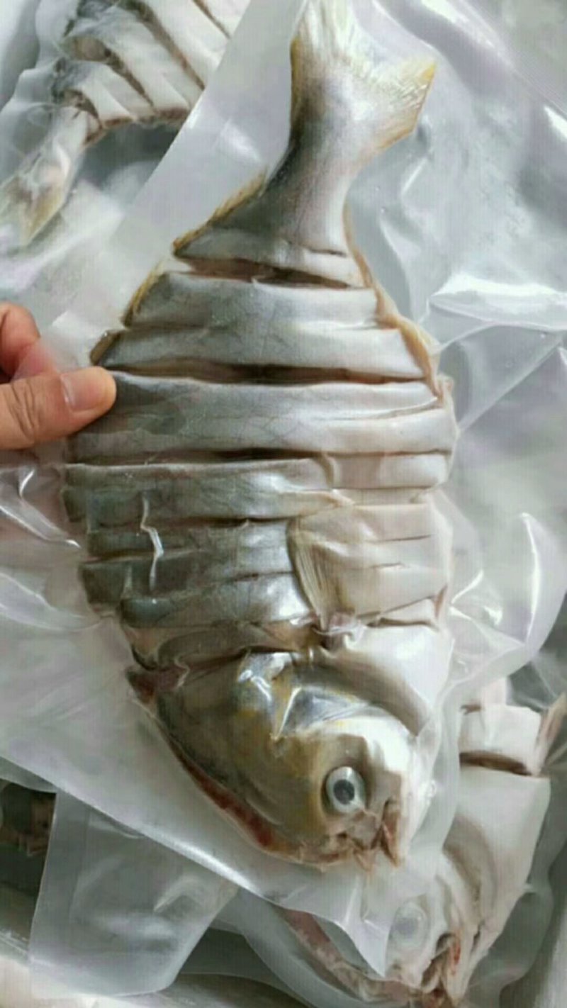 金昌鱼干