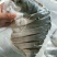 金昌鱼干