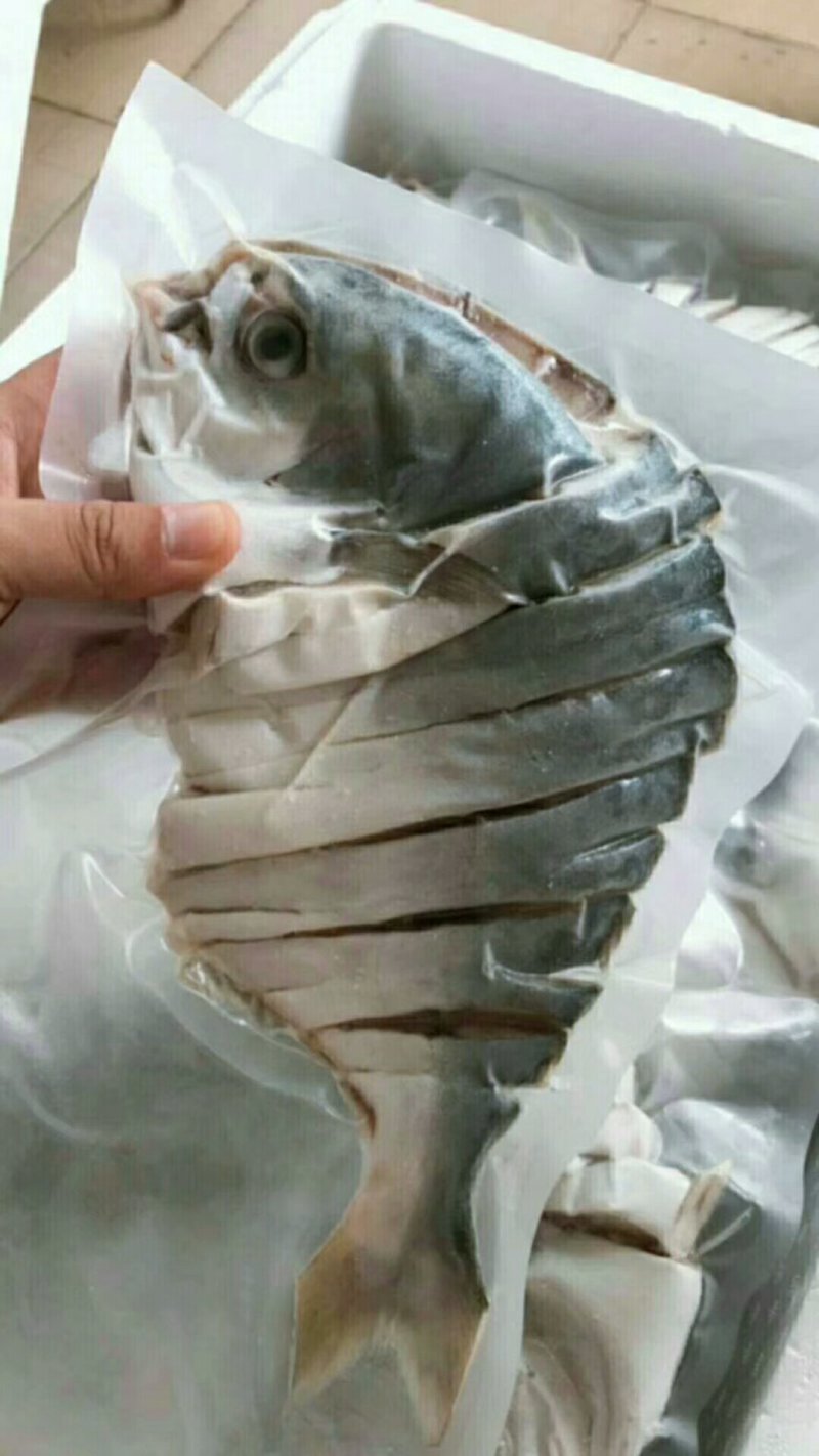 金昌鱼干