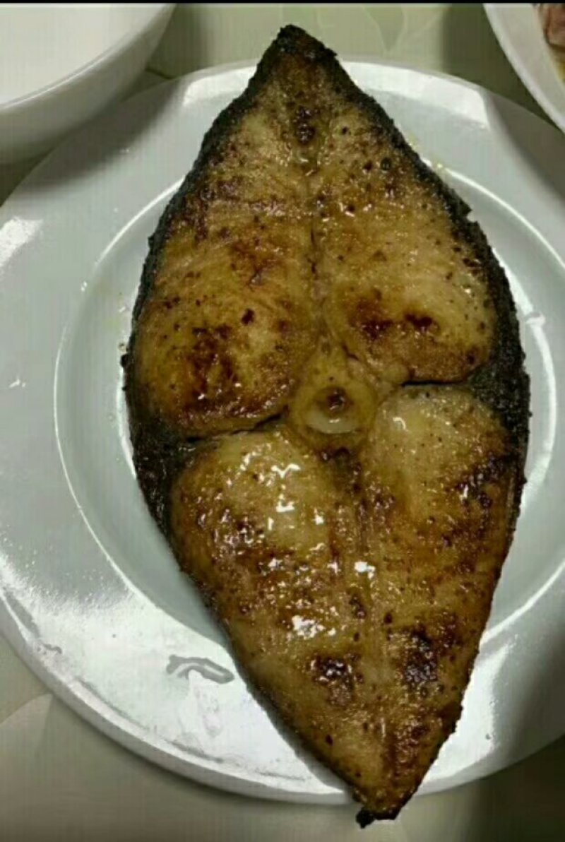 马胶鱼