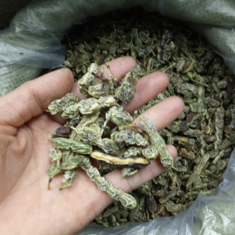 槐角槐豆无硫新货批发零售冷背中药材