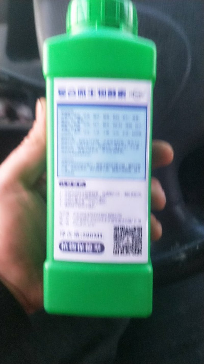 巴迪酵素