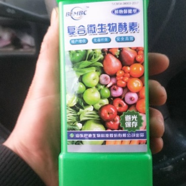 巴迪酵素