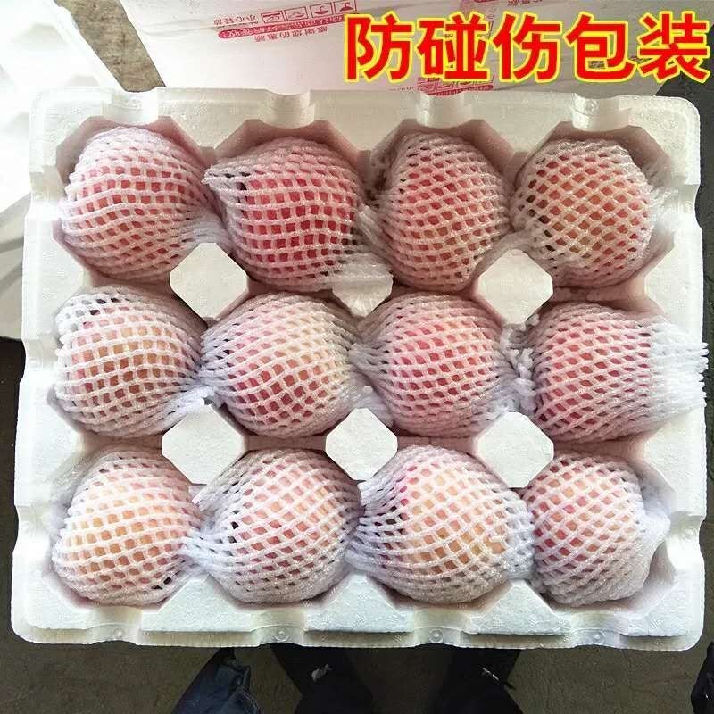 山东红富士苹果脆甜多汁爽口现摘现发当天发货新鲜水果苹果