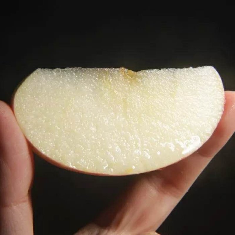 新鲜水果苹果红富士苹果现摘现发【一件代发】5斤装包邮脆甜