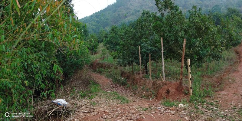 480亩山地出售（土地肥沃，手续齐全，已砍光）
